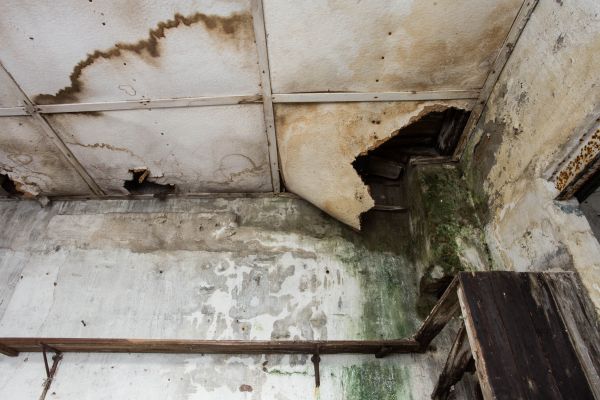 Cost of Water Damage Service in Puyallup