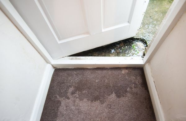 Cost of Wet Carpet Restoration in Puyallup