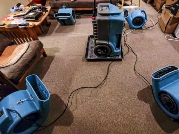 Cost of Flood Damage Recovery in Puyallup