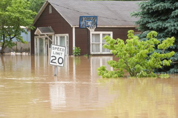 Cost of Storm Restoration Service in Puyallup