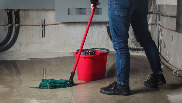 Cost of Flooded Basement Cleanup in Puyallup