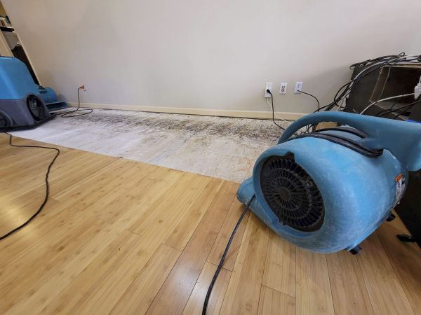 Cost of Water Damage Mitigation in Puyallup