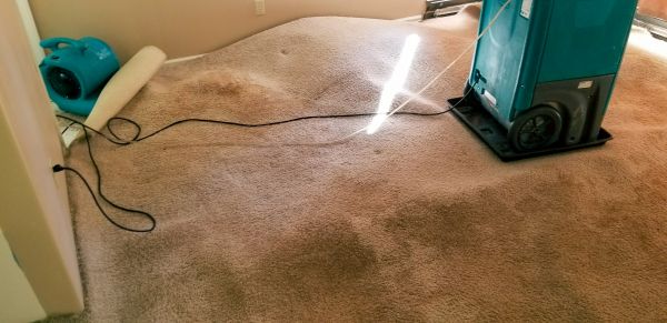 Cost of Flood Damage Cleanup in Puyallup