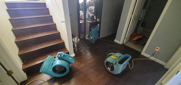 Cost of Water Damage Remediation in Puyallup