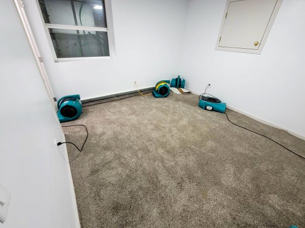 Cost of Flood Restoration Service in Puyallup