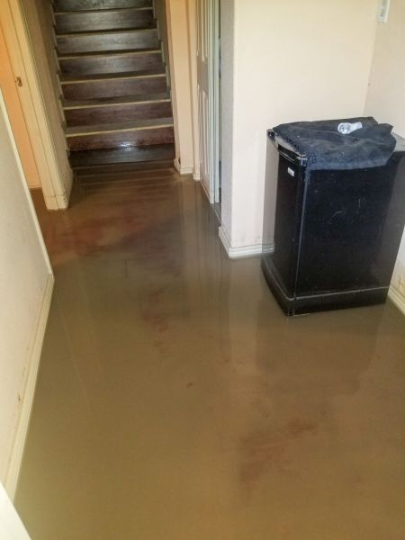 Cost of Emergency Water Removal in Puyallup