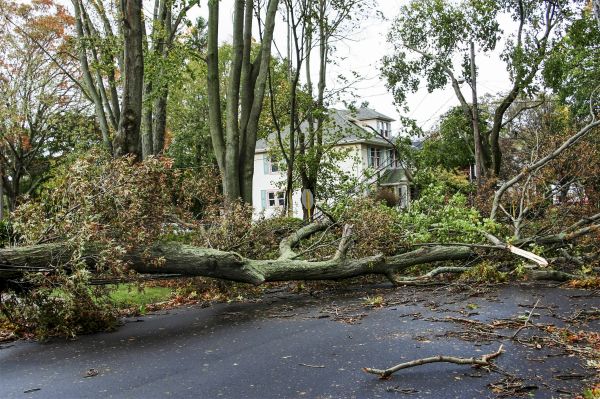 Cost of Tornado Damage Repair in Puyallup