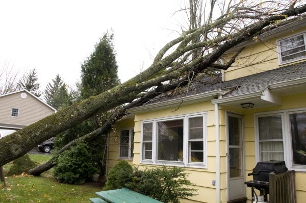 Cost of Storm Damage Mitigation in Puyallup