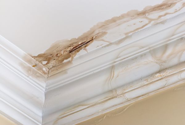 Cost of Water Damage Recovery in Puyallup