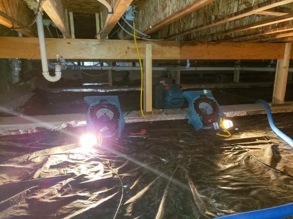 Cost of Crawlspace Water Removal in Puyallup