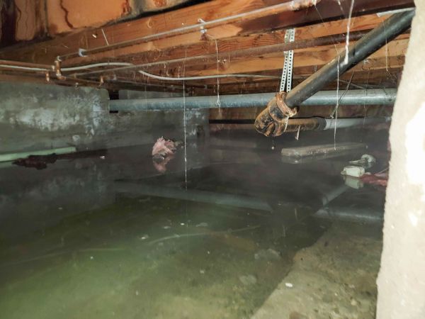 Cost of Crawlspace Water Restoration in Puyallup
