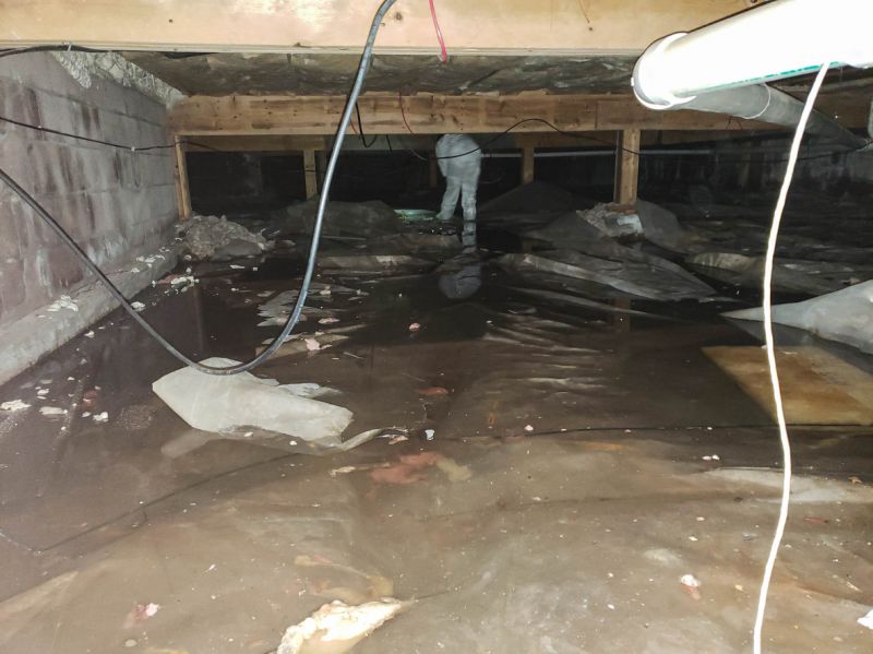 Burst Pipe Cleanup detail